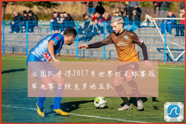 法国队夺得2017年世界杯足球赛冠军决赛击败克罗地亚队
