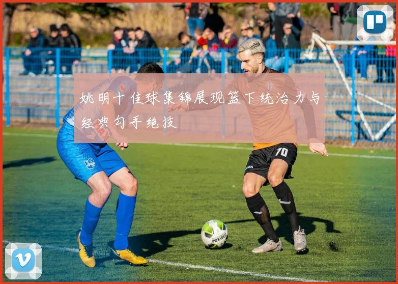 姚明十佳球集锦展现篮下统治力与经典勾手绝技