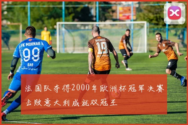 法国队夺得2000年欧洲杯冠军决赛击败意大利成就双冠王