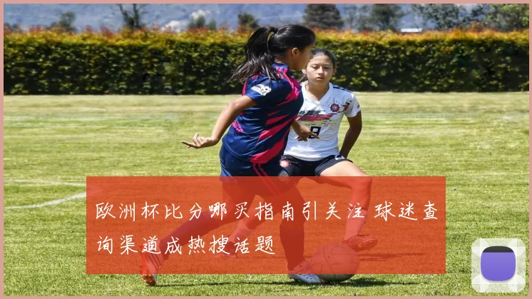 欧洲杯比分哪买指南引关注 球迷查询渠道成热搜话题