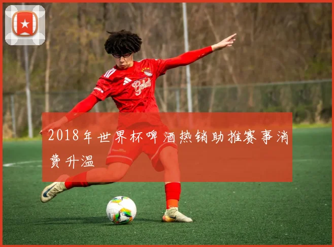 2018年世界杯啤酒热销助推赛事消费升温