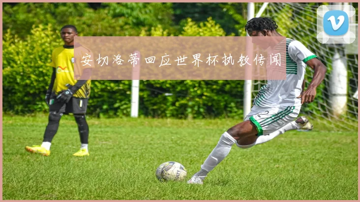 安切洛蒂回应世界杯执教传闻