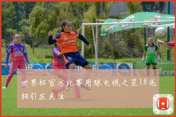 世界杯官方比赛用球电视之星18亮相引发关注